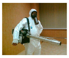 FUMIGAÇÃO A  SPRAY CONTRA PERCEVEJOS DAS CAMAS - 3