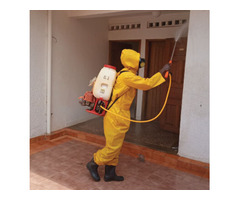 DESINFECCAO - DESINFESTACAO - DESRATIZACAO - 4
