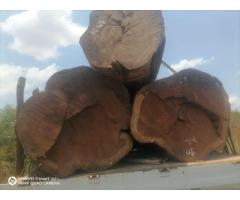 Raw wood supply in large amounts - 5