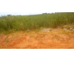 Terreno 20/30 Costa do Sol Zona de Expansão