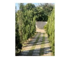 Vende-se Casa Na Matola Rio - 2