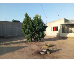 Vende-se Casa No Intaka - 2