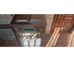 Maquina de sorvete sonwhite - 2