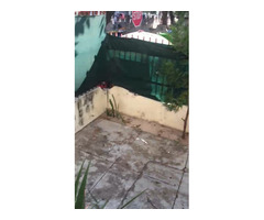 Vende ApT2 R/c pé da escola 7 de Setembro