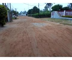 Costa Sol Zona Arenosa: Terreno 17/33