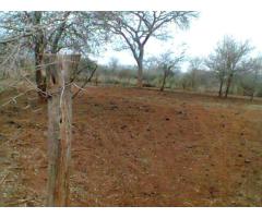 TRESPASSE 25 HECTARES DE TERRA - 2