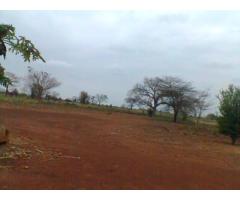 TRESPASSE 25 HECTARES DE TERRA - 3