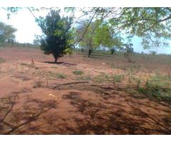 TRESPASSE 25 HECTARES DE TERRA - 4