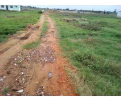 Chiango: Terreno 20/25 Há 250 Metros da Estrada - 4