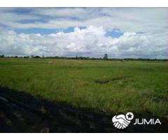 Terreno 60 Hectares na Estrada Circular Muntanhana Marracuene - 3