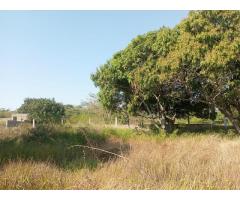 Vende-se terreno 50×70 na Catembe - Primeira linha | Próximo da rotunda - 4