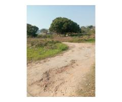 Vende-se terreno 50×70 na Catembe - Primeira linha | Próximo da rotunda - 5