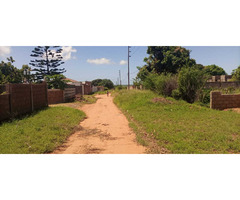 Terreno completo Abel Jafar 15x40 - 4