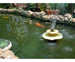 Vende-se 1 hectare na Matola cidade com uma vivenda tipo 3 e duas outras casas com um lago - 3