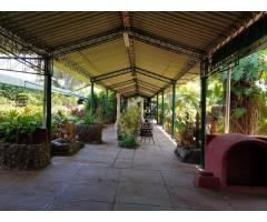 Vende-se 1 hectare na Matola cidade com uma vivenda tipo 3 e duas outras casas com um lago - 4