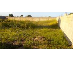 Terreno 30/30 c/ Muro: Costa do Sol Zona de Expansão