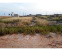 Costa do Sol: Terreno 20/40 Zona Privilegiada - 5