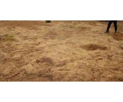 Costa Sol: Trespasso Terreno 20/40 Zona Privilegiada - 3