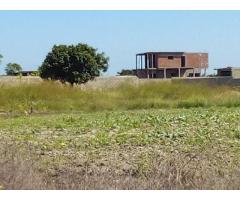 Costa do Sol Zona de Expansão: Terreno 15/30 Trespasse