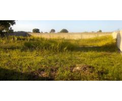 Terreno 30/30 c/ Muro: Costa do Sol Zona de Expansão - 2