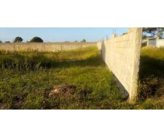 Terreno 30/30 c/ Muro: Costa do Sol Zona de Expansão - 3