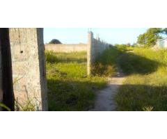 Terreno 30/30 c/ Muro: Costa do Sol Zona de Expansão - 4