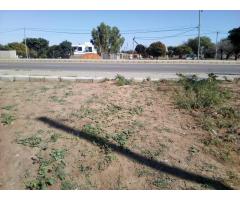 Terreno 50/60 na Estrada: Costa Sol / Casa Jovem - 2