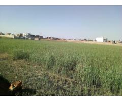 Terreno 50/60 na Estrada: Costa Sol / Casa Jovem - 4