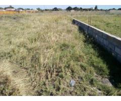 Chiango: Terreno 20/20 Ha 220 Metros da Estrada Circular - 4