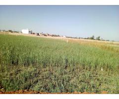 Costa do Sol: Terreno 20/30 Zona de Expansao - 3