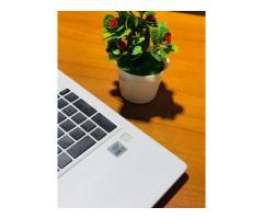 HP ProBook 450 G7 10th Gen intel(R) Core(TM)  i7-10510U - 3