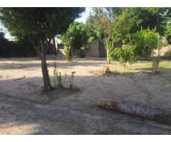 Espaco na av de Mocambique - 4