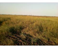 Na Estrada Circular Terreno 100/1500 (15 Hectares Muntanhana) - 2