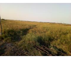 Na Estrada Circular Terreno 100/1500 (15 Hectares Muntanhana) - 4