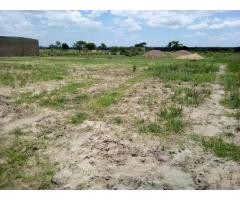 Terreno 60 Hectares a Berma da Circular Muntanhana - 3