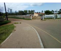 Costa Sol: Terreno 17/33 Zona Arenosa Há 330 Metros da Estrada - 3