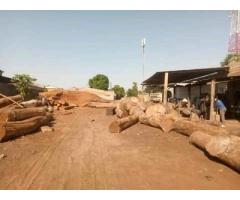 Trespasse de propriedade terra ou negócio, localizado na zona da Poliana caniço ,zona comercial - 2
