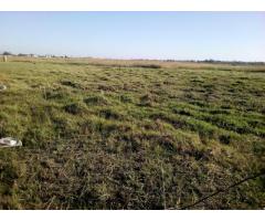 Terreno 15 Hectares na Estrada Circular Muntanhana Marracuene - 4