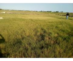 Terreno 15 Hectares na Estrada Circular Muntanhana Marracuene - 2