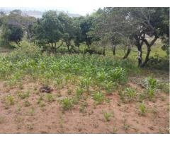 4 Terrenos a venda na Katembe-Chali (Praia) parcelados - 3