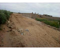 Chiango: Terreno 20/25 Ha Zona Privilegiada - 2