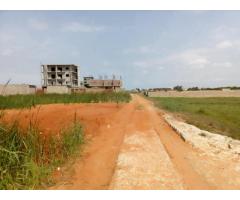 Chiango: Terreno 40/25 Zona Privilegiada & Luxuosa - 5