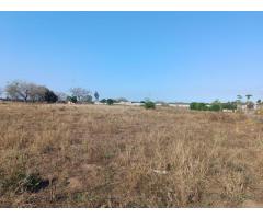 Trespasse de propriedade 1 Hectare em Boane - 4