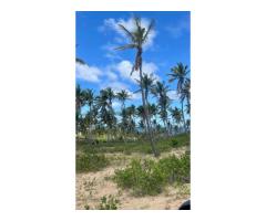 Trespasse de propriedade 1 Hectare em Boane - 5