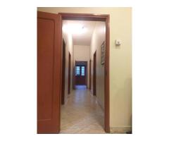 Geminada av Marien Ngouabi com Vladimir Lenine - 5