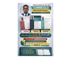 Curriculum vitae