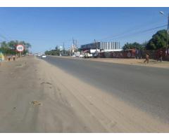 Land for sale with 20.000m² on Avenida de Moçambique ✅️ - 4