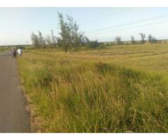 100x100 plot of land for sale/transfer in Xinavane | Avenida de Moçambique ✅️