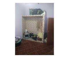Vende-se vivenda T3 no Bairro da Maxaquene - 6