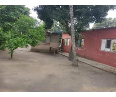 Vende-se ruina com 1260m² na Cidade da Matola - 3